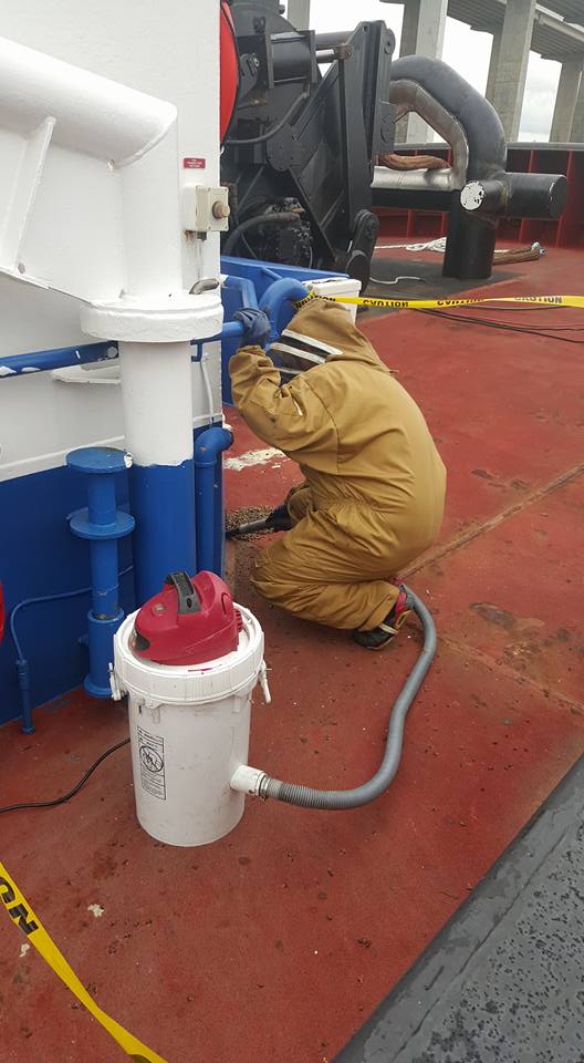 Commercial Bee Removal Houston